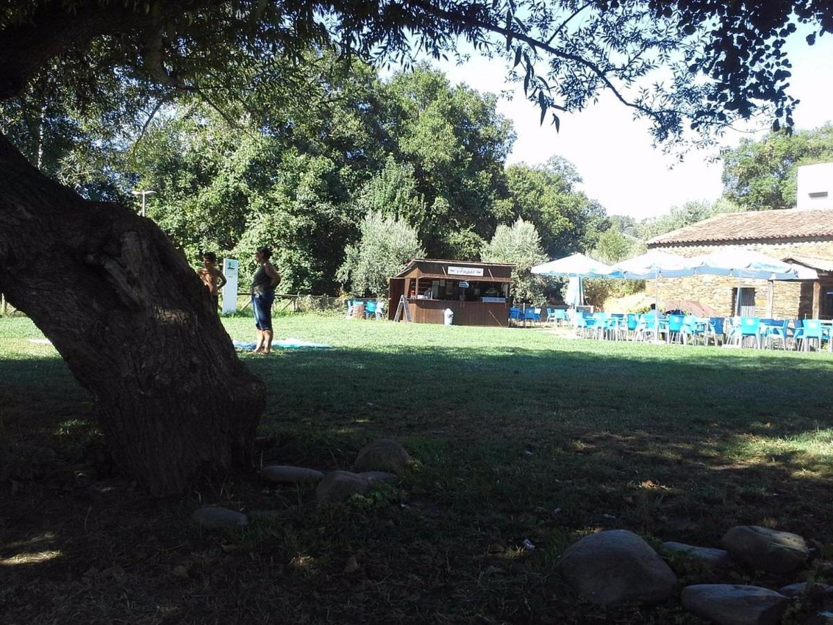 Zen Guest House Em Leiria Pedrogao Grande Eksteriør billede